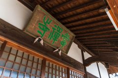 DSC03539