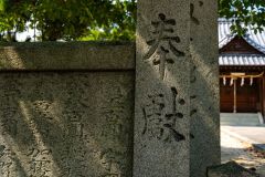 DSC08307