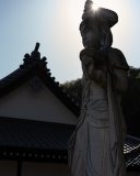 DSC09728-3