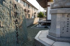 DSC08551