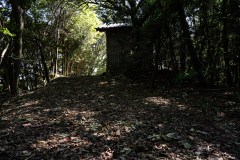 DSC04450