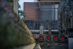 DSC06315
