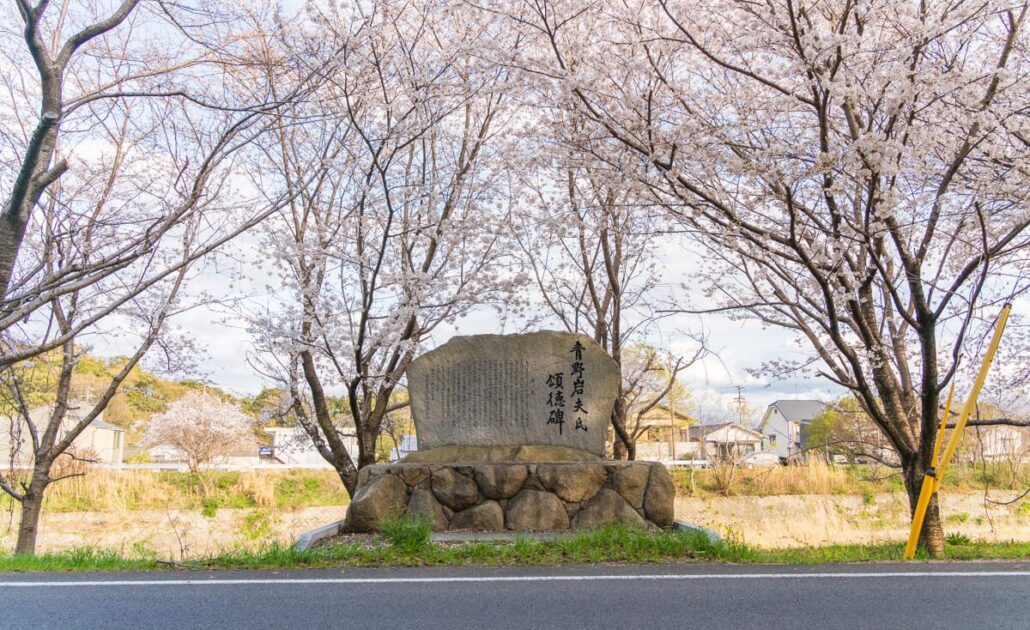 「青野岩夫」頓田川に咲いた人の想い、消えゆく桜並木に秘められた地元愛
