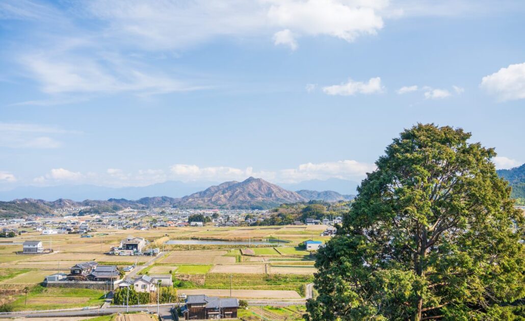 《世田山合戦⑧》父の遺志を継いだ細川頼之と河野通朝、北朝を二分した戦い「1364年 世田山合戦」