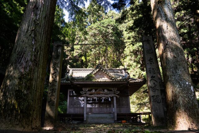 「白山神社」
愛媛県今治市玉川町畑寺字清水甲543
#神社 #鳥居 #神社仏閣 #torii #今治市 #愛媛県 #nature #神社仏閣