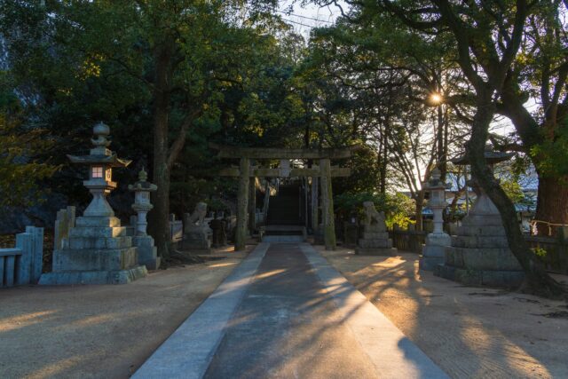 「玉生八幡神社」
愛媛県今治市波方町波方甲1616
#神社仏閣 #椿森神社  #神社 #今治観光 #愛媛観光 #神仏 #パワースポット #神社巡り #玉生八幡神社 #鳥居 #木漏れ日 #太陽 #灯篭
