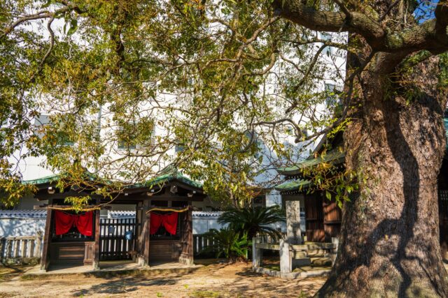 「鴨部神社」
愛媛県今治市旭町5-2-27
#神社 #鳥居 #神社仏閣 #torii #今治市 #愛媛県 #nature #神社仏閣
