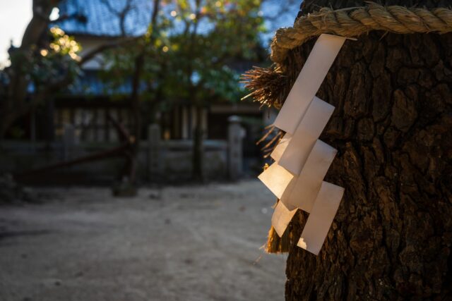 「玉生八幡神社」
愛媛県今治市波方町波方甲1616
#神社仏閣 #椿森神社 #神社 #今治観光 #愛媛観光 #神仏 #パワースポット #神社巡り #玉生八幡神社 #鳥居