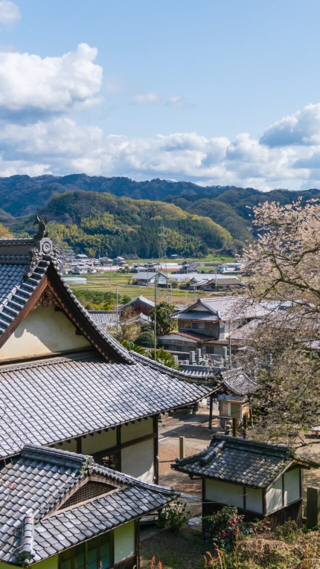 📍掌禅寺
（Jozen-ji Temple）

#お寺 #日本の風景 #桜 #nature
#temple #寺院 #江戸彼岸 #cherryblossom
#japantravel #japantrip #visitjapan #traveljapan